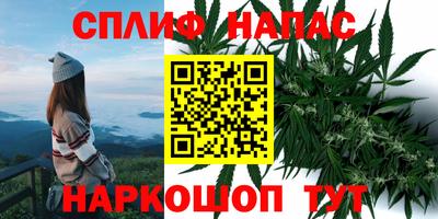 дмт Нарткала