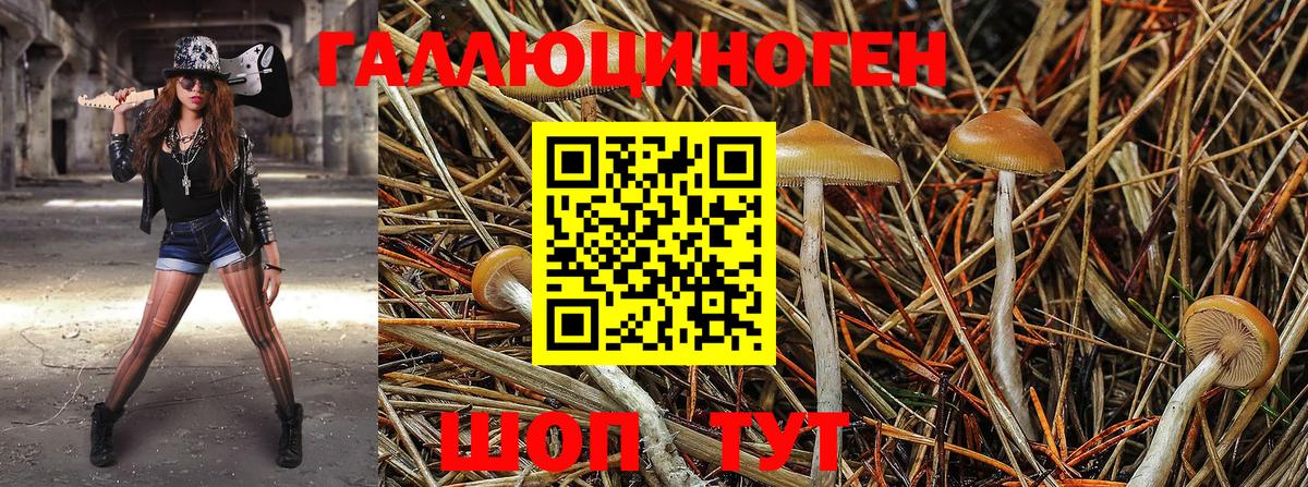 Великий Новгород  Псилоцибиновые грибы GOLDEN TEACHER  Вход с VPN 